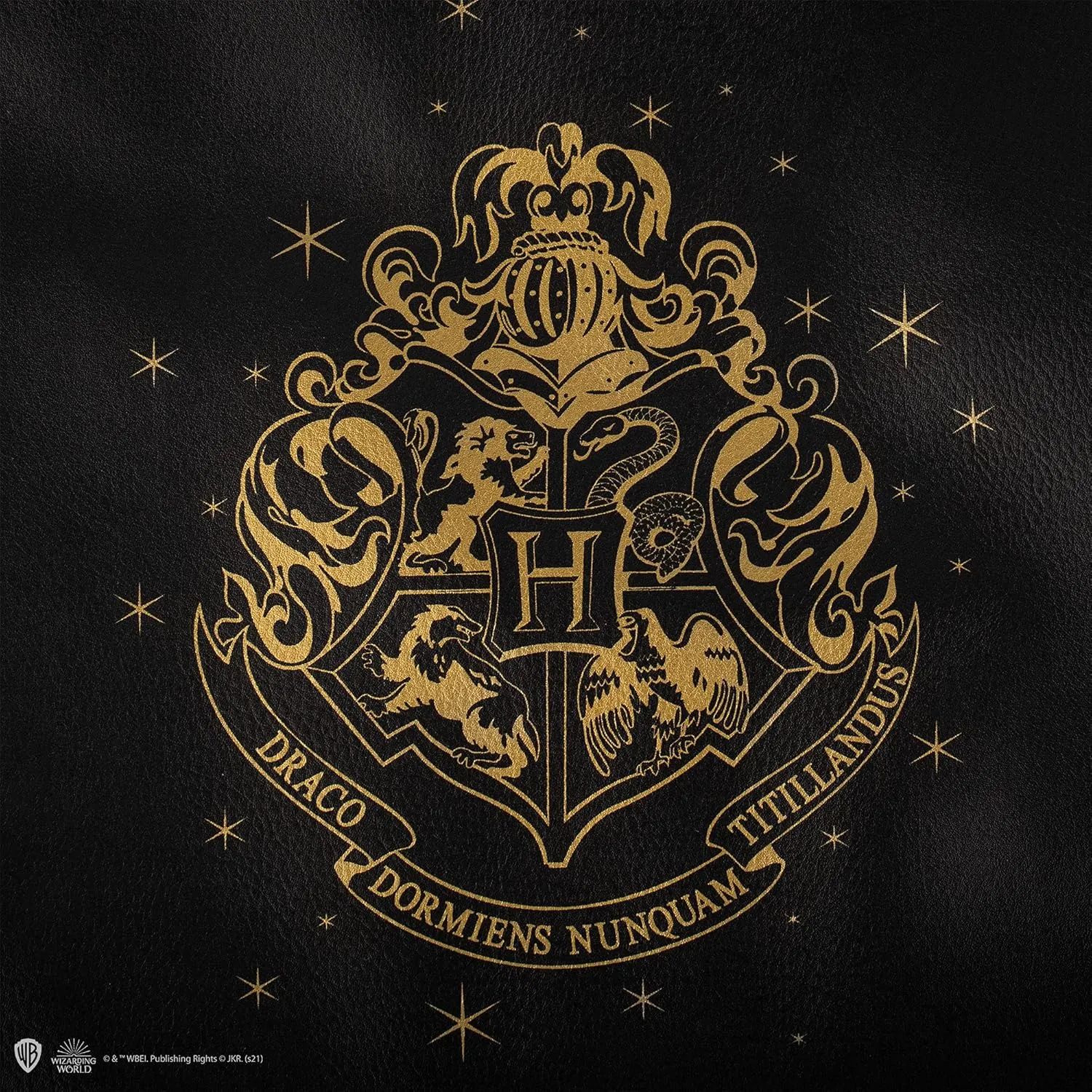 Harry Potter Hogwarts Shopping Bag - Green (Size L)