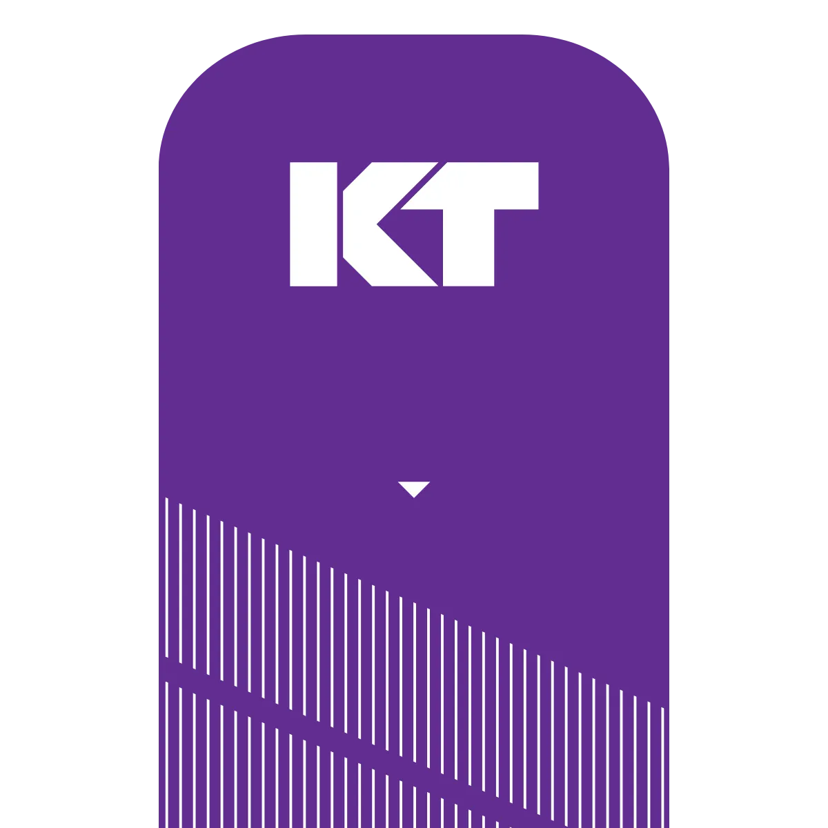 KT Tape Pro