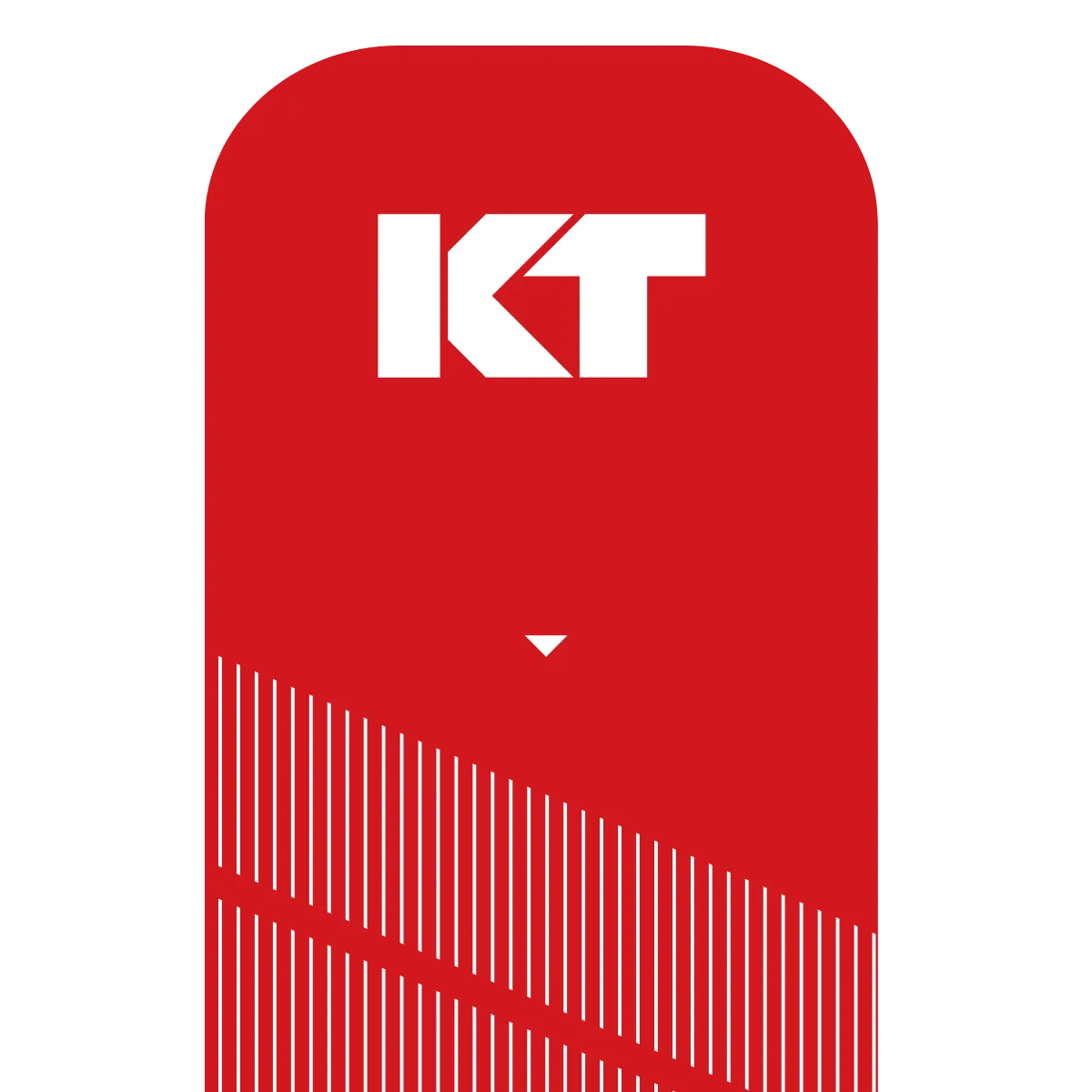 KT Tape Pro