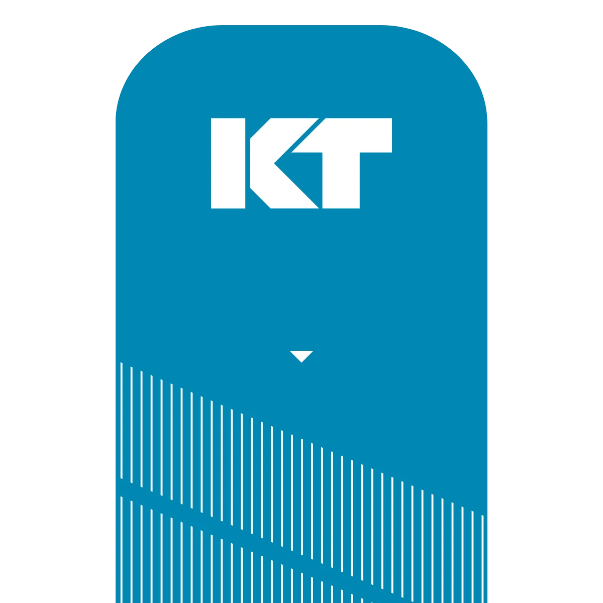 KT Tape Pro