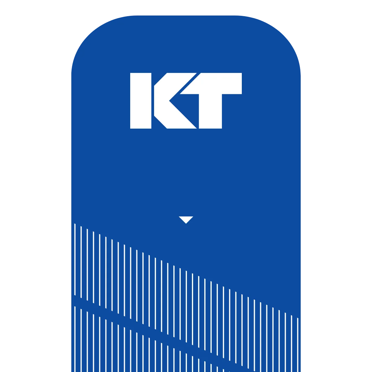 KT Tape Pro