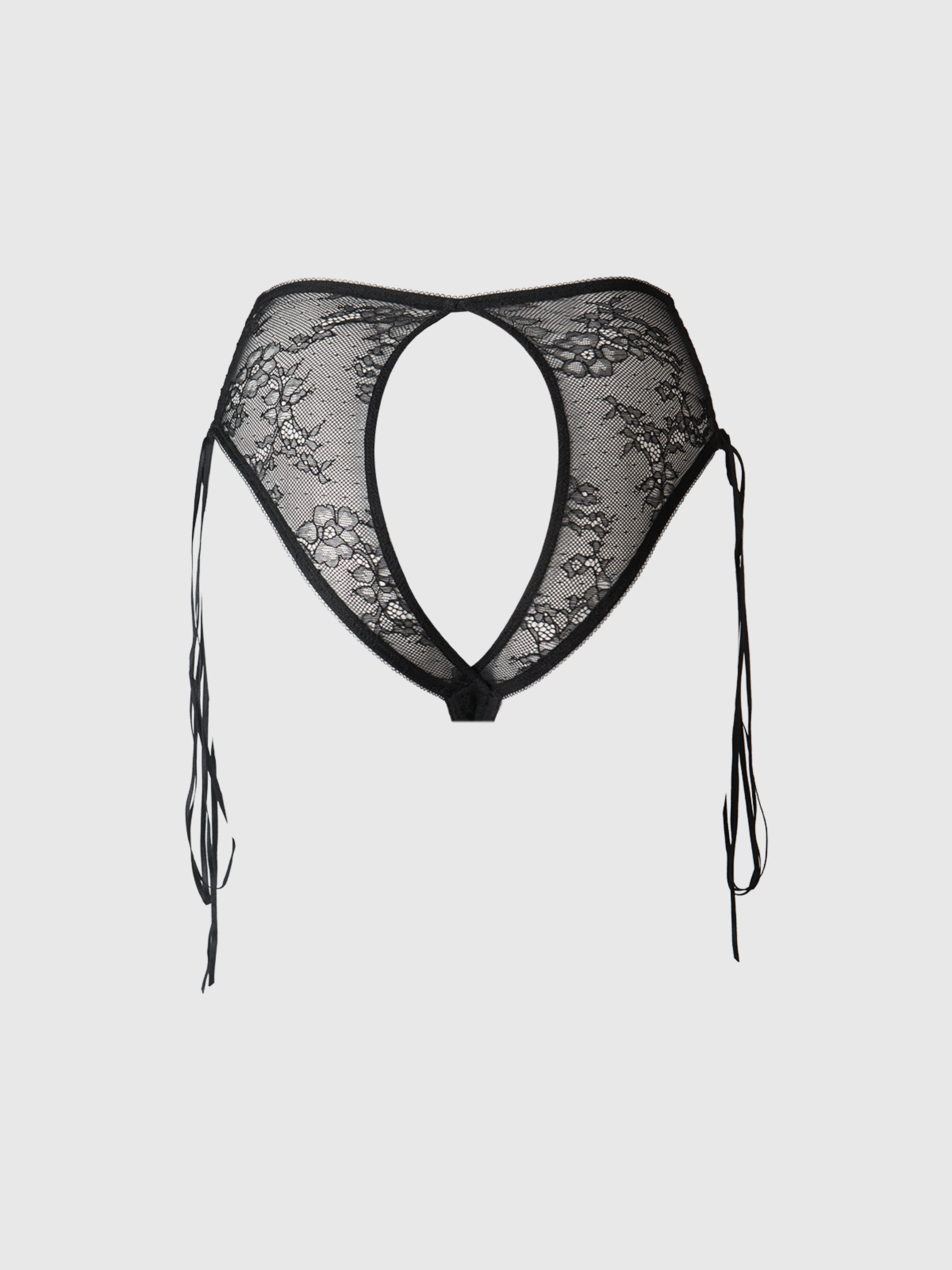 Luella Lace Open Back High-Waist Panty