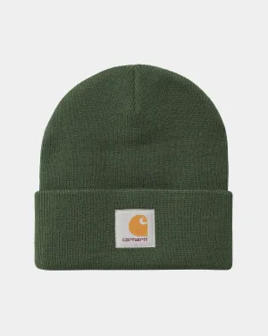 Short Watch Hat | Sycamore Tree Carhartt WIP